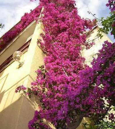 Apartment Maestral Makarska